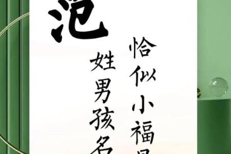 范姓女孩名字大全-范姓女孩起名字大全-范姓名字大全姓名