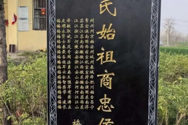 梅姓女孩名字大全-梅姓女孩起名字大全-梅姓名字大全姓名