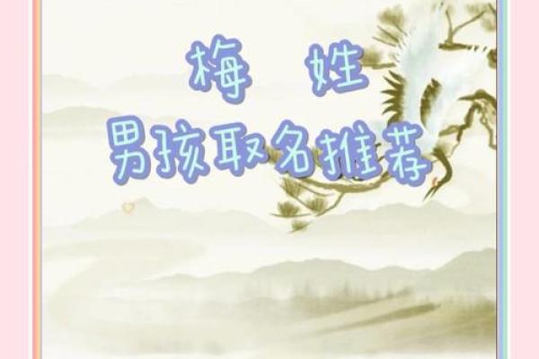 梅姓女孩名字大全-梅姓女孩起名字大全-梅姓名字大全姓名