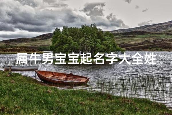 什么名字适合上午出生的属牛男孩姓名