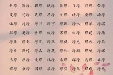 2019年5月30号寅时出生的男孩如何起名姓名