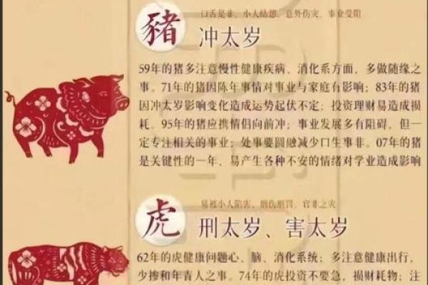 属猪辛时出生的男孩如何起名，宜用什么字姓名