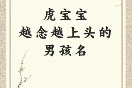 凌晨2点出生的属虎男孩如何起名，宜用什么字姓名