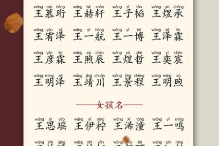 凌晨4点出生的属蛇男孩如何起名姓名