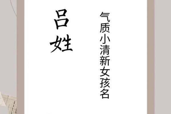 吕姓女孩名字大全-吕姓女孩起名字大全-吕姓名字大全姓名