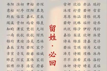 2019年6月29号子时出生的男孩起名时要注意什么姓名