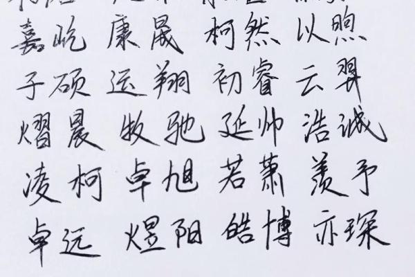 2019年3月23号申时出生的男孩如何起名姓名