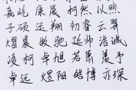 2019年3月23号申时出生的男孩如何起名姓名