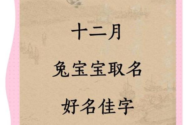 晚上出生属兔的男孩应该怎么样取名字呢？姓名