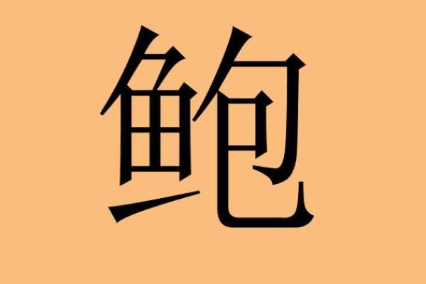 鲍姓女孩名字大全-鲍姓女孩起名字大全-鲍姓名字大全姓名