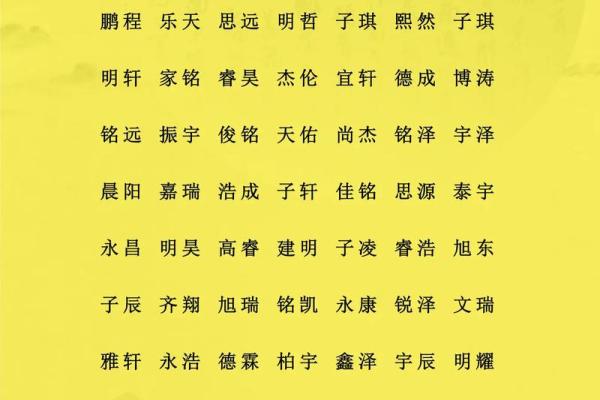 属猪辰时出生的男孩如何取名字,宜用什么字姓名 属猪辰时出生的男孩如何取名字,宜用什么字姓名