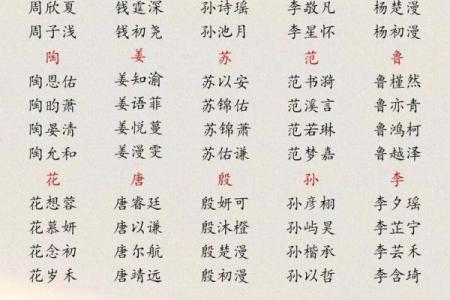 2019年3月17号辰时出生的男孩应该起什么样的名字姓名