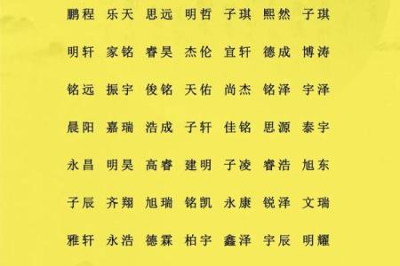 属猪辰时出生的男孩如何取名字，宜用什么字姓名