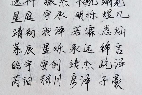 2019年3月12号丑时出生的男孩起名方法姓名