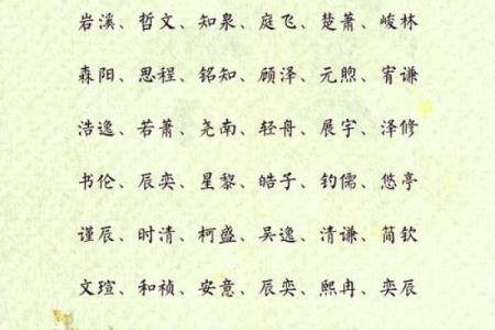 2019年3月14号子时出生的男孩要怎么起名字姓名