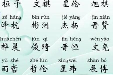 3月份出生的属猪男孩起什么名字好姓名