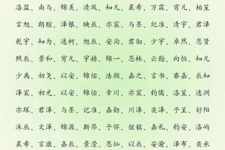 教你给属鸡酉时出生的男孩起名的实用技巧姓名