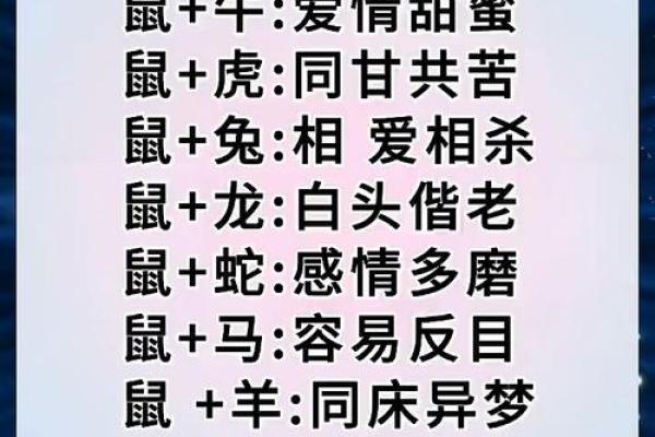 怎么给傍晚出生的属鼠男孩取名字姓名 怎么给傍晚出生的属鼠男孩取名字姓名
