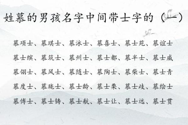 2019年3月25号未时出生的男孩起名方法姓名