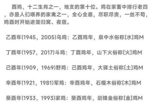 上午10点出生的属鸡男孩应该起什么名字姓名