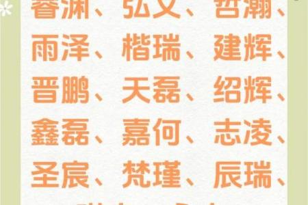 2019年6月16号卯时出生的男孩起名方法姓名