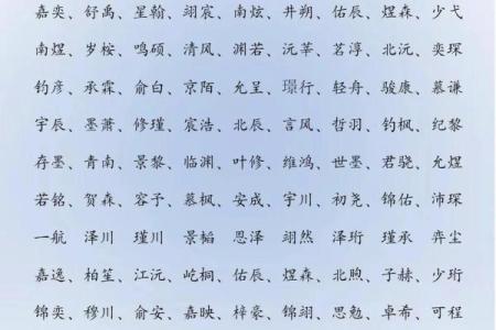 2019年6月3号子时出生的男孩应该起什么样的名字姓名