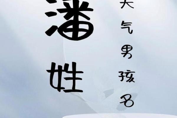 潘姓男孩名字大全-潘姓男孩起名字大全-潘姓名字大全姓名
