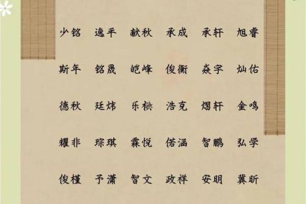 2019年3月28号亥时出生的男孩如何起名姓名