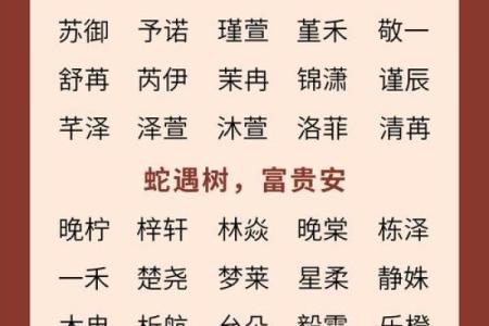 凌晨3点出生的属蛇男孩如何起名，宜用什么字姓名