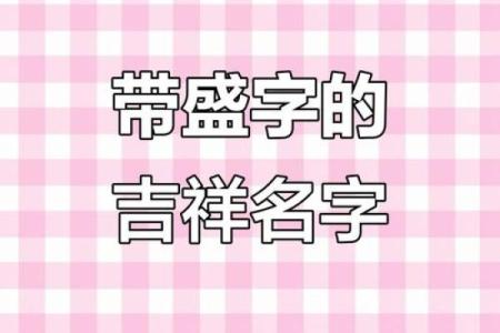 盛姓男孩名字大全-盛姓男孩起名字大全-盛姓名字大全姓名