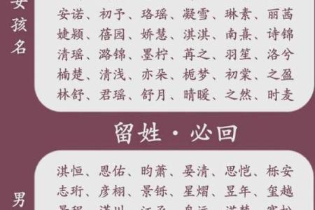 2019年5月28号卯时出生的男孩要怎么起名字姓名