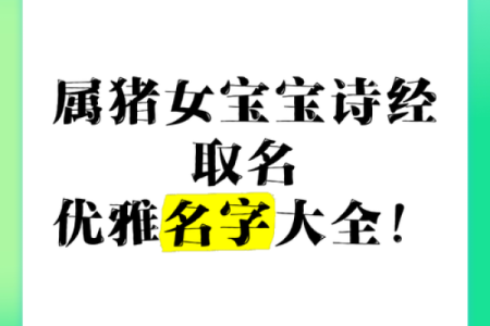 如何给属猪申时出生的男孩取个好名字姓名