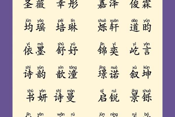 属龙巳时出生的男孩怎么取名，适合用什么字姓名