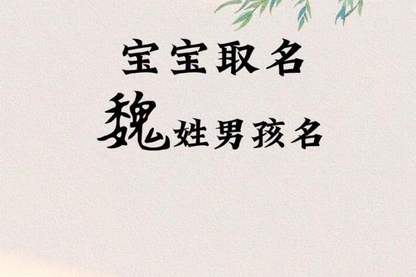 魏姓男孩名字大全-魏姓男孩起名字大全-魏姓名字大全姓名