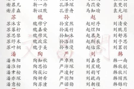2019年3月17号巳时出生的男孩应该起什么样的名字姓名