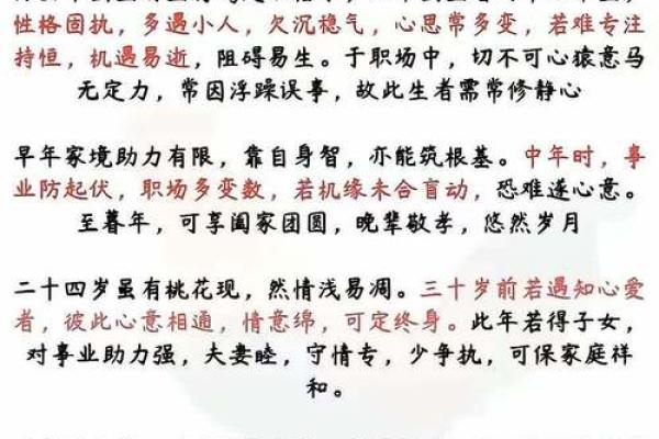 中午12点出生的属鸡男孩如何起名合适姓名