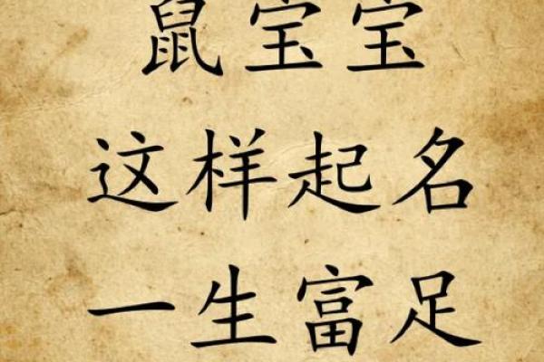 晚上9点出生的属鼠男孩好名推荐姓名 晚上9点出生的属鼠男孩好名推荐姓名