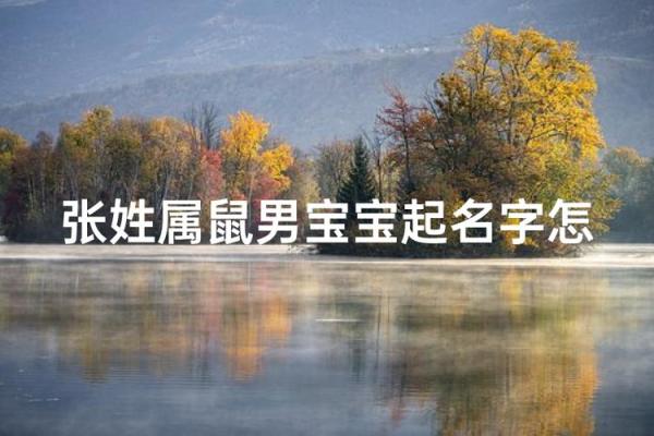 晚上9点出生的属鼠男孩好名推荐姓名 晚上9点出生的属鼠男孩好名推荐姓名