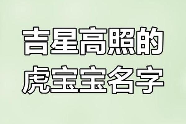 晚上出生的属虎男孩应该如何起名,宜用什么字姓名 晚上出生的属虎男孩应该如何起名,宜用什么字姓名