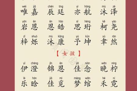 属龙辰时出生的男孩起什么名，用什么字姓名