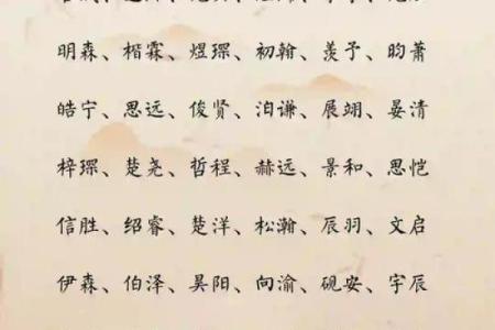 2019年5月8号丑时出生的男孩如何起名姓名