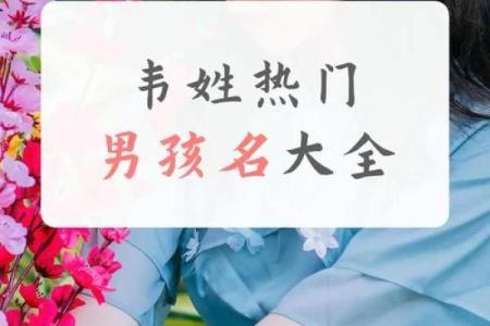 2019年6月12号子时出生的男孩起名时要注意什么姓名