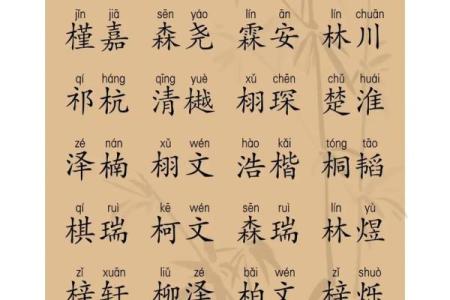 12月份出生的属蛇男孩起什么名字好姓名