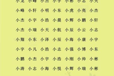 属狗卯时出生的男孩应该如何起名，宜用什么字姓名