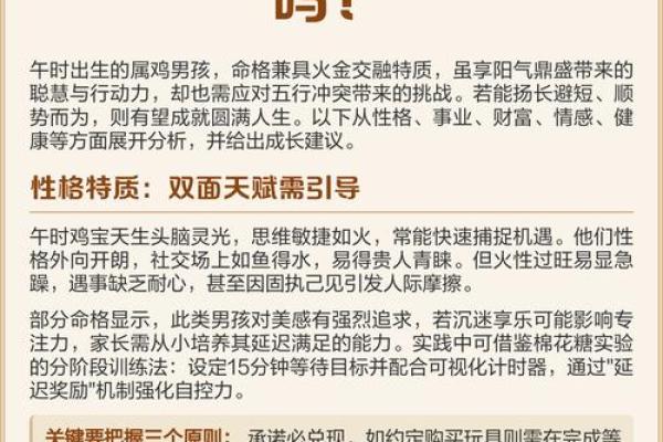 8月份出生的属鸡男孩起什么名字好姓名