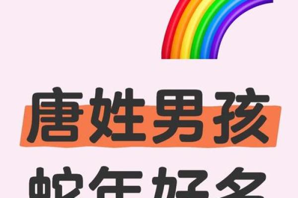 唐姓男孩名字大全-唐姓男孩起名字大全-唐姓名字大全姓名