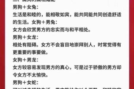 十月份出生的属狗男孩应该如何取一个好名字姓名