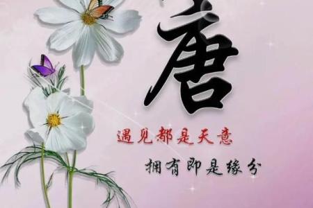 唐姓男孩名字大全-唐姓男孩起名字大全-唐姓名字大全姓名