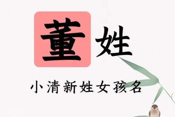 董姓女孩名字大全-董姓女孩起名字大全-董姓名字大全姓名