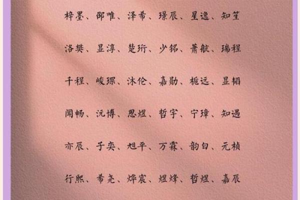 2019年3月28号申时出生的男孩如何起名姓名